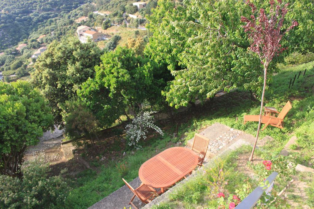 Hotel Le Niobel - Hotel De Charme Belgodère Pokoj fotografie